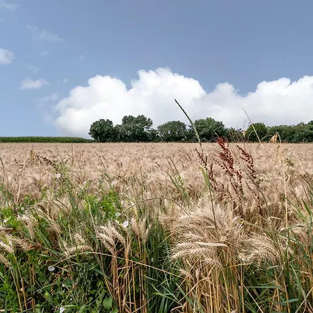 Hébergement de vacances Boyard - Pour 10 Avec Piscine Privée Et Jacuzzi Saint-Nazaire-sur-Charente