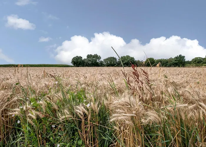 度假居 Boyard - Pour 10 Avec Piscine Privee Et Jacuzzi Saint-Nazaire-sur-Charente